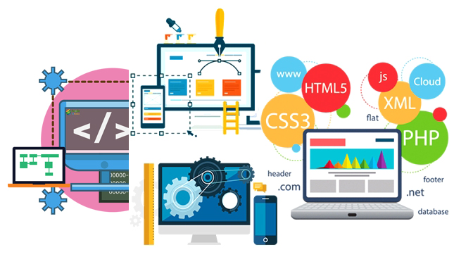 custom web development