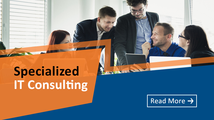 Specialized IT Consulting