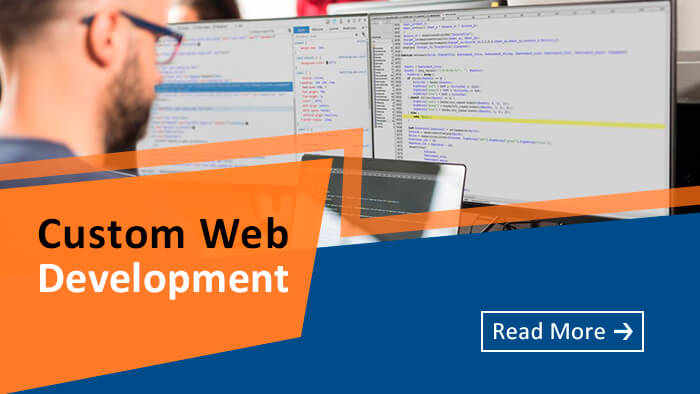 Custom Web Development